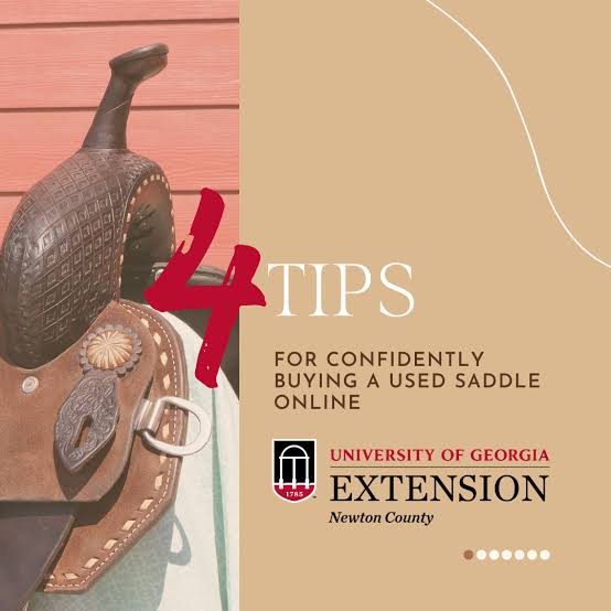 What to Look for When Buying a Used Saddle for Sale Online